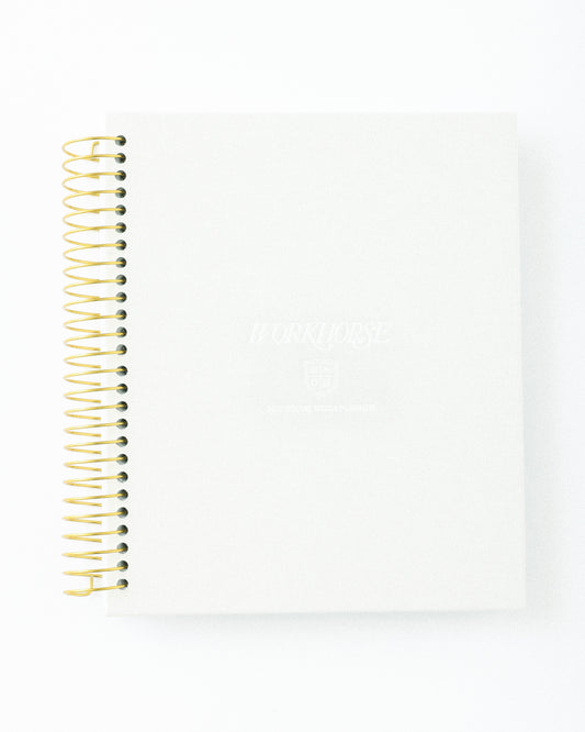 *NEW* 2025 SOCIAL MEDIA PLANNER IN BEIGE LINEN